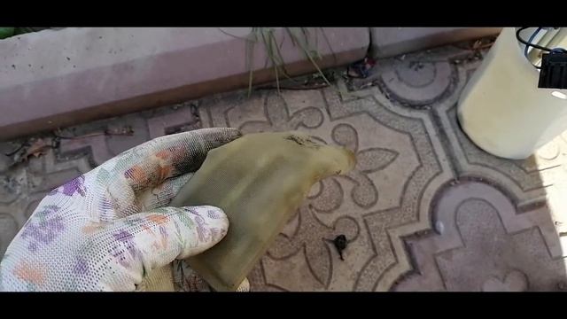 Искусство визуальной коммуникации