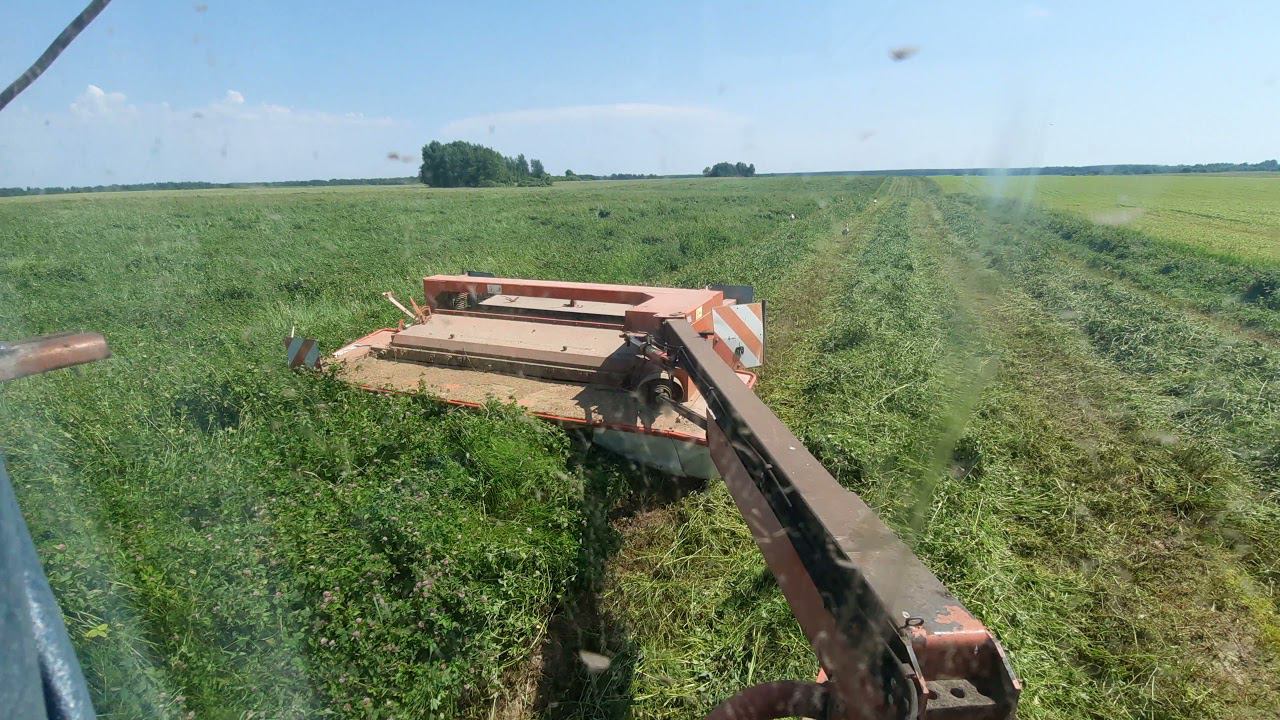 Косим клевер для упаковки в  стрейч плёнку