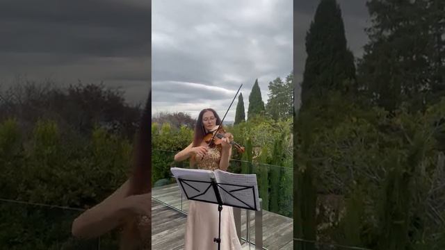 скрипка попмузыка Memory Cats