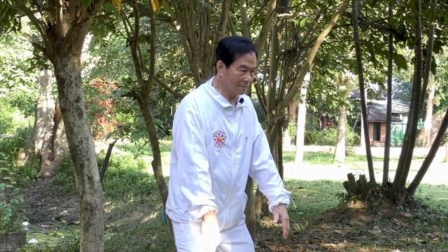 From Martial Art To Moving Meditation. Tai Chi Qigong With Legendary Taoist Master Mantak Chia