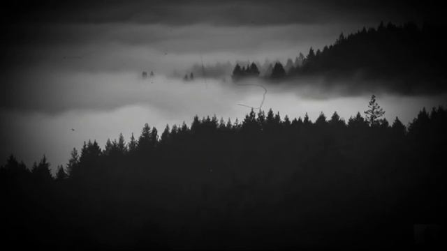 Бриллиантовая чистка и яркий блеск