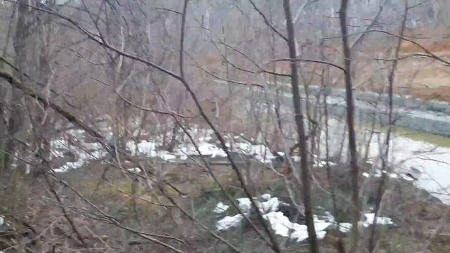 Пойма габионы 21.03.2017 г.