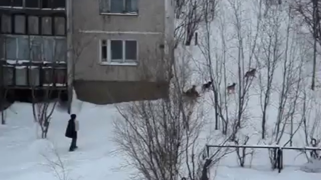 бэтмэн существует