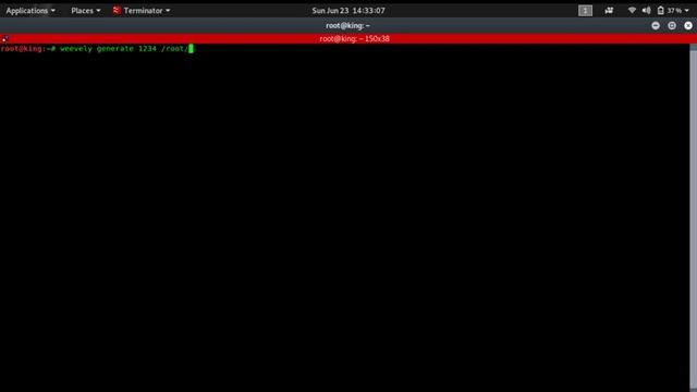 1 Exploit Basic File Upload Vulnerabilities
