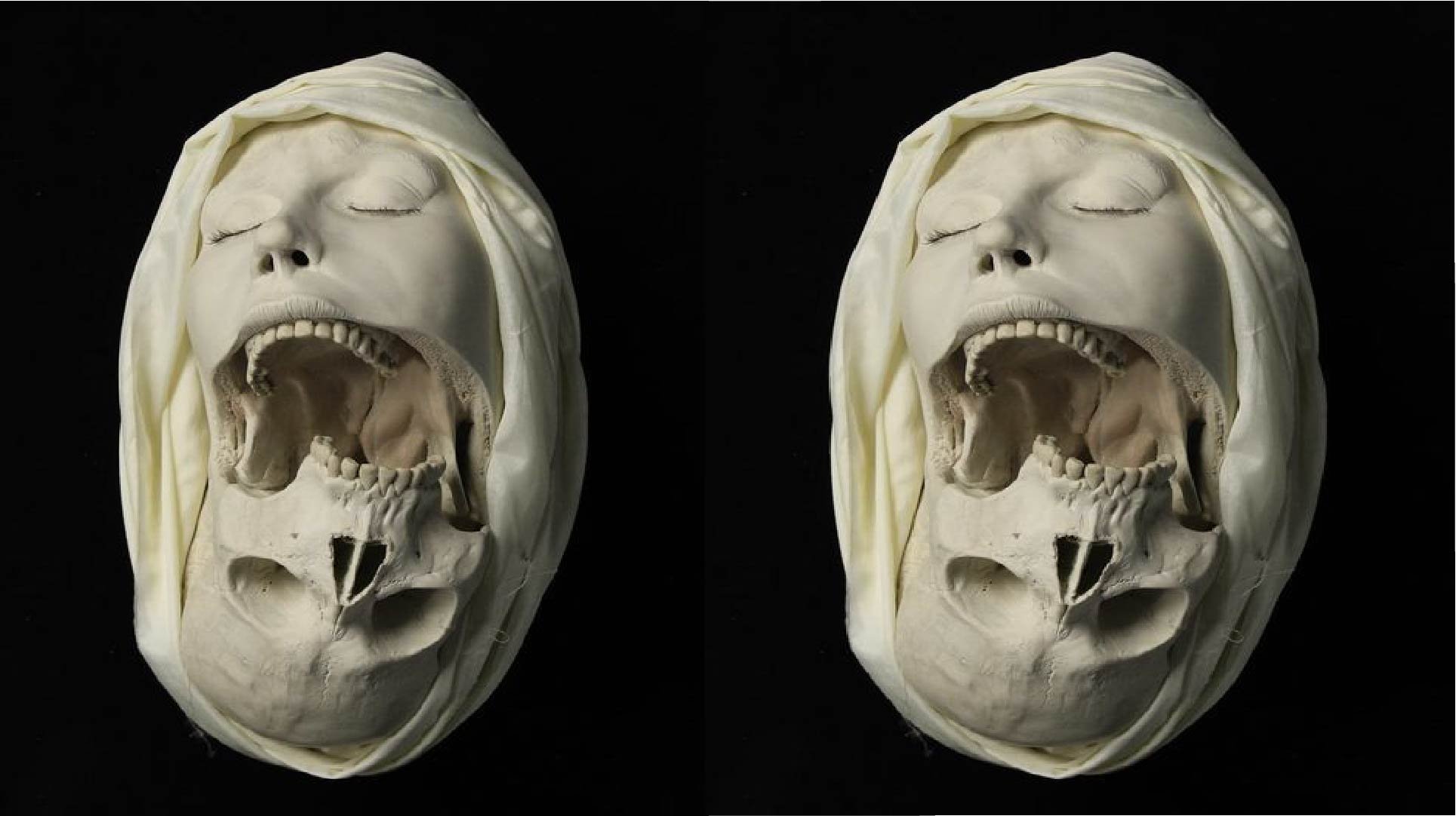 Techno_  Industrial Bass Mix 'ANIMALE'