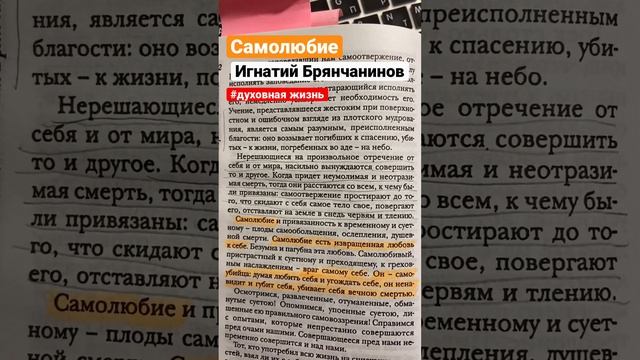 Самолюбие есть извращенная любовь к себе. Игнатий Брянчанинов