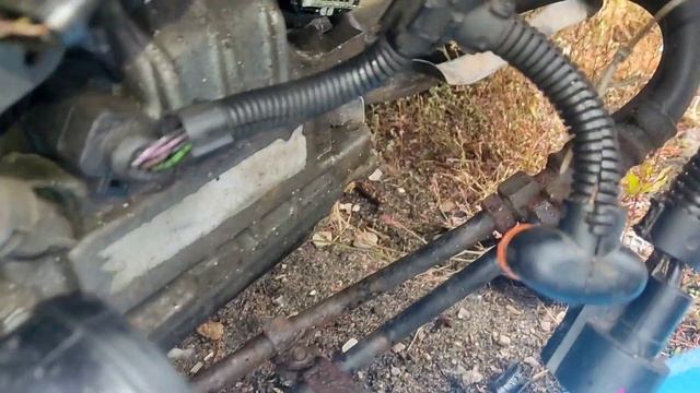 Интерьерный феерверк идей