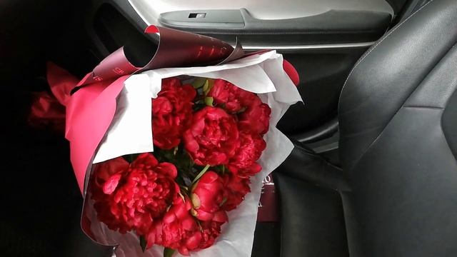 Fd771c8b722a52944da4e0cdaa068832