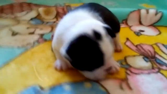 E2ff4a8ab3f53e2bd53f6f3b8067dbf3