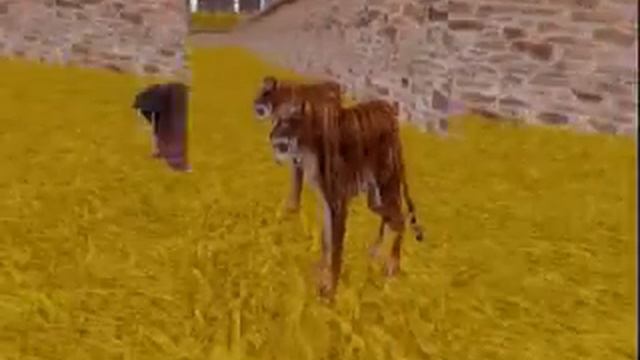 All Animals From MARINE PARK EMPIRE