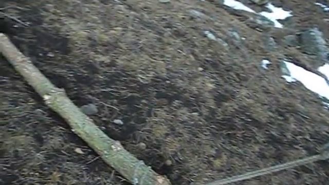 ЗАГОТОВКА ДРОВ  Жизнь в Грузии