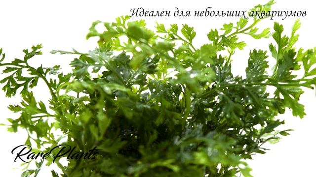 07522bf84b5e738f923aa9bdfee676bd