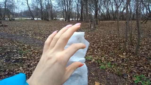 Про посадку чеснока, укрытие роз и новую тропку
