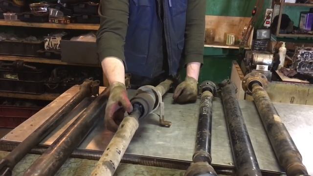 Декоративная Экспрессия