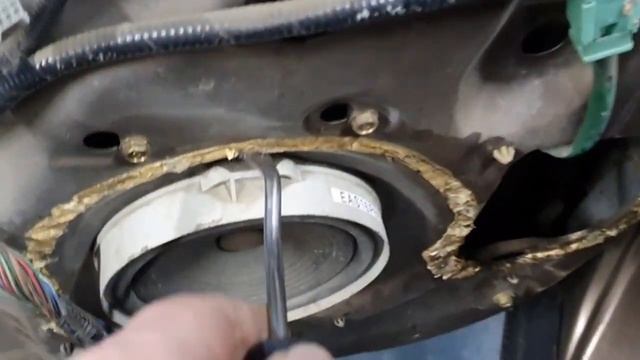 Впечатляющая длина ресниц