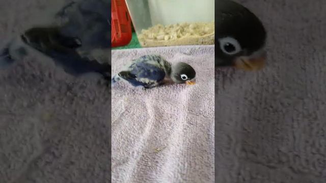 8040717e00d630264cc002976f9407ef