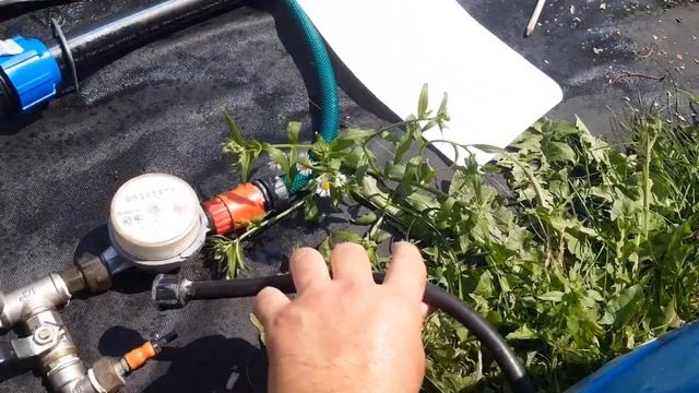 Подкормочный узел при капельном поливе клубники.