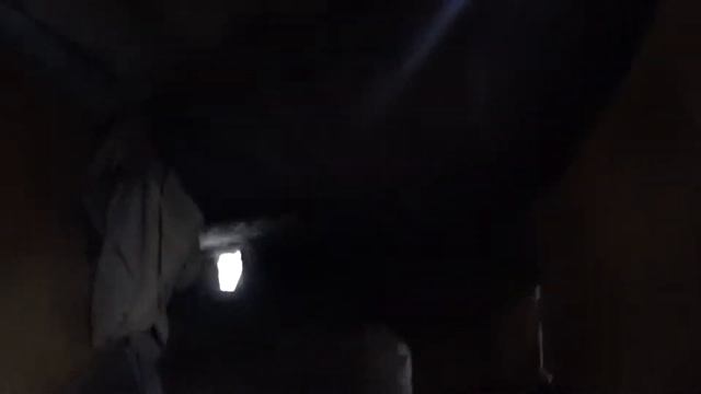 правильное кормление животных в деревни