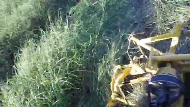 9675dd34e0672c2c391d7981a827fdbc