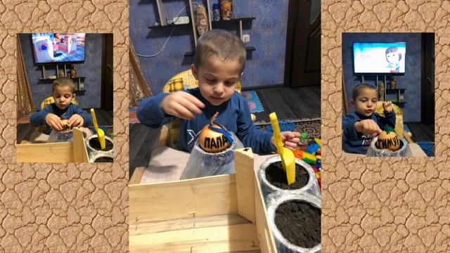 Отчет о проекте 