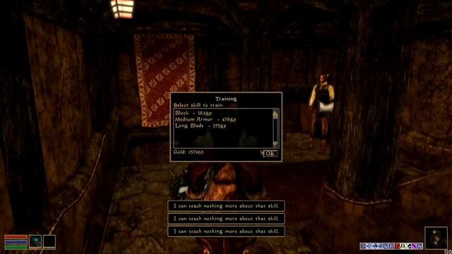 HitchHikers Guide To Morrowind | Level Boosting