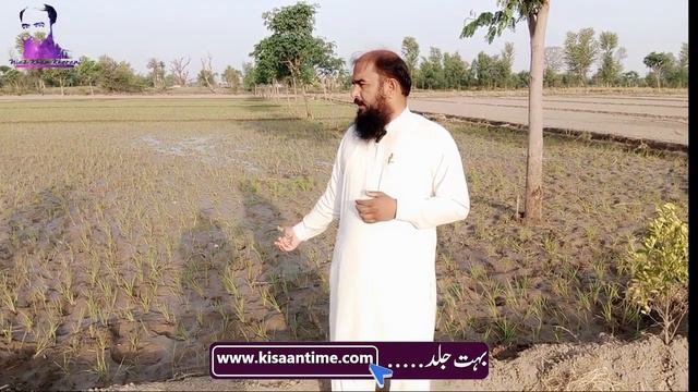 3bc69055305c66ff06cd0470a66f6c75