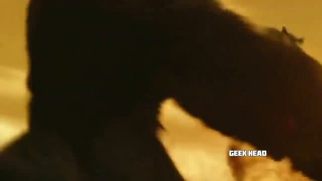 ОБЕЗЬЯНУ РАЗБУДИЛИ