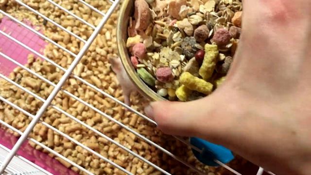 0c738a4fd8edc21c92771574c4d1fe67