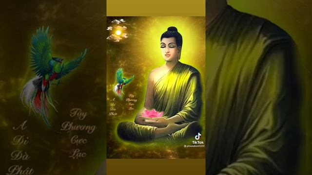 ClA Nếu Không Hoan Hỉ Thì Thôi đừng Gieo Oan Trái Luân Hồi Cho Nhau