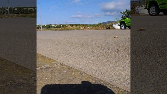 Mi Citroen Mehari (1981)