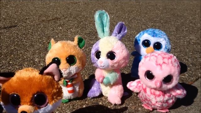 Beanie Boo Trip