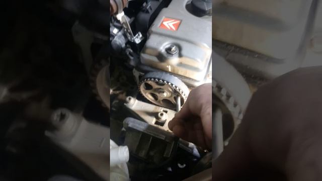 Peugeot: прекрасные моменты и незабываемые впечатления