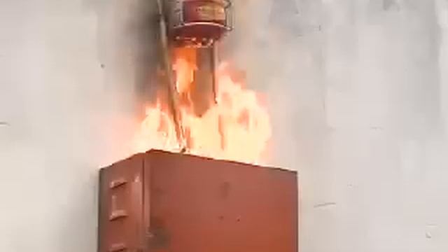 ШАР 1 над электрощитом