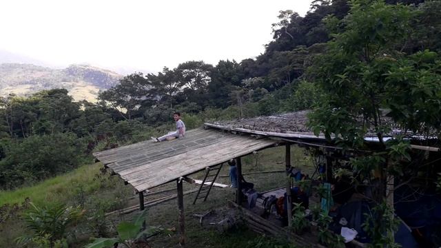 Proceso De Construcción Bambú | Mini Pérgola
