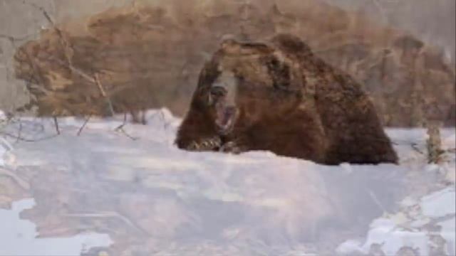 8af69e69445674e126034320134b338d