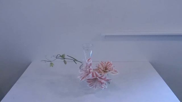 Today’s Flower 47 FRITILLARIA, CYANELLA, LUPINUS, ALSTROEMERIA, AMARYLLIS By MAG BY LOUISE