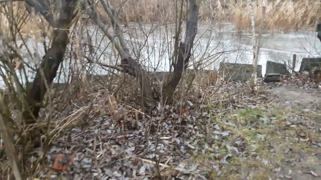 Славянск. 17 декабря 2022г. Вечер.