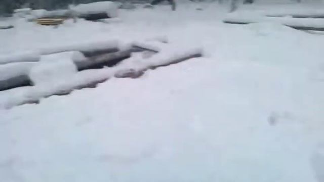 Жизнь в тайге. Ханты.