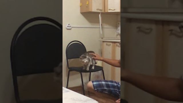 07bdff8f26e96f27c806b4670178c827