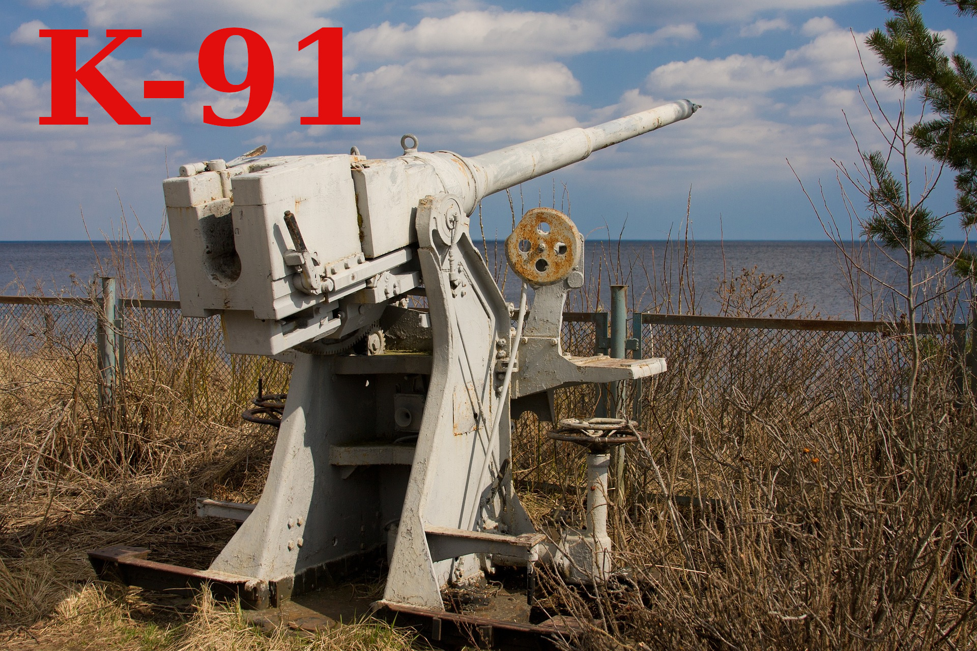 Wold Of Tanks - K91 8 убийств 7к урона