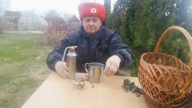Крапива полезные свойства Целебный крапивный чай.