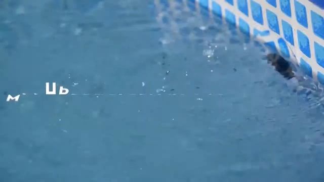 Готовый бизнес в Димитровграде