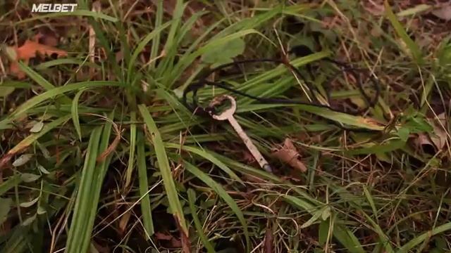 Как выбрать правильное время для посещения бани