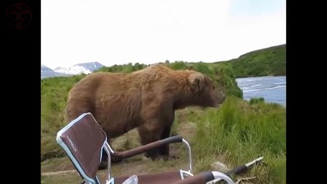 50685cf92ca8007d2333de6247c09404