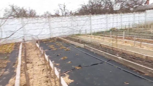 Fde94f055a99c6c6975c361d5e42611a