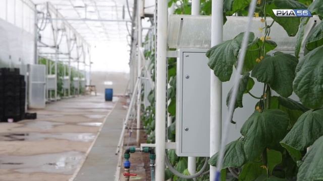 51ac3615b90ba71b8a1ea41110aa0ed5