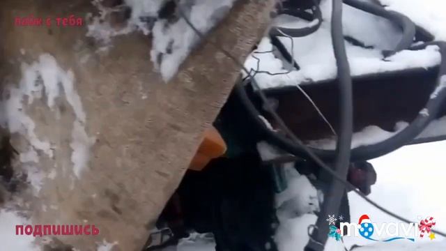 Трактор Т-40 срезало сцепление