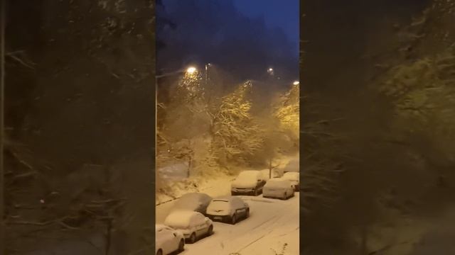 687aee6a3387d24f689e472e9158bf17