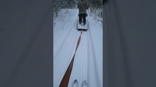 Катание на лыжах на зацепе к мотособака))