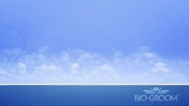 Шампунь без смывания БиоГрум